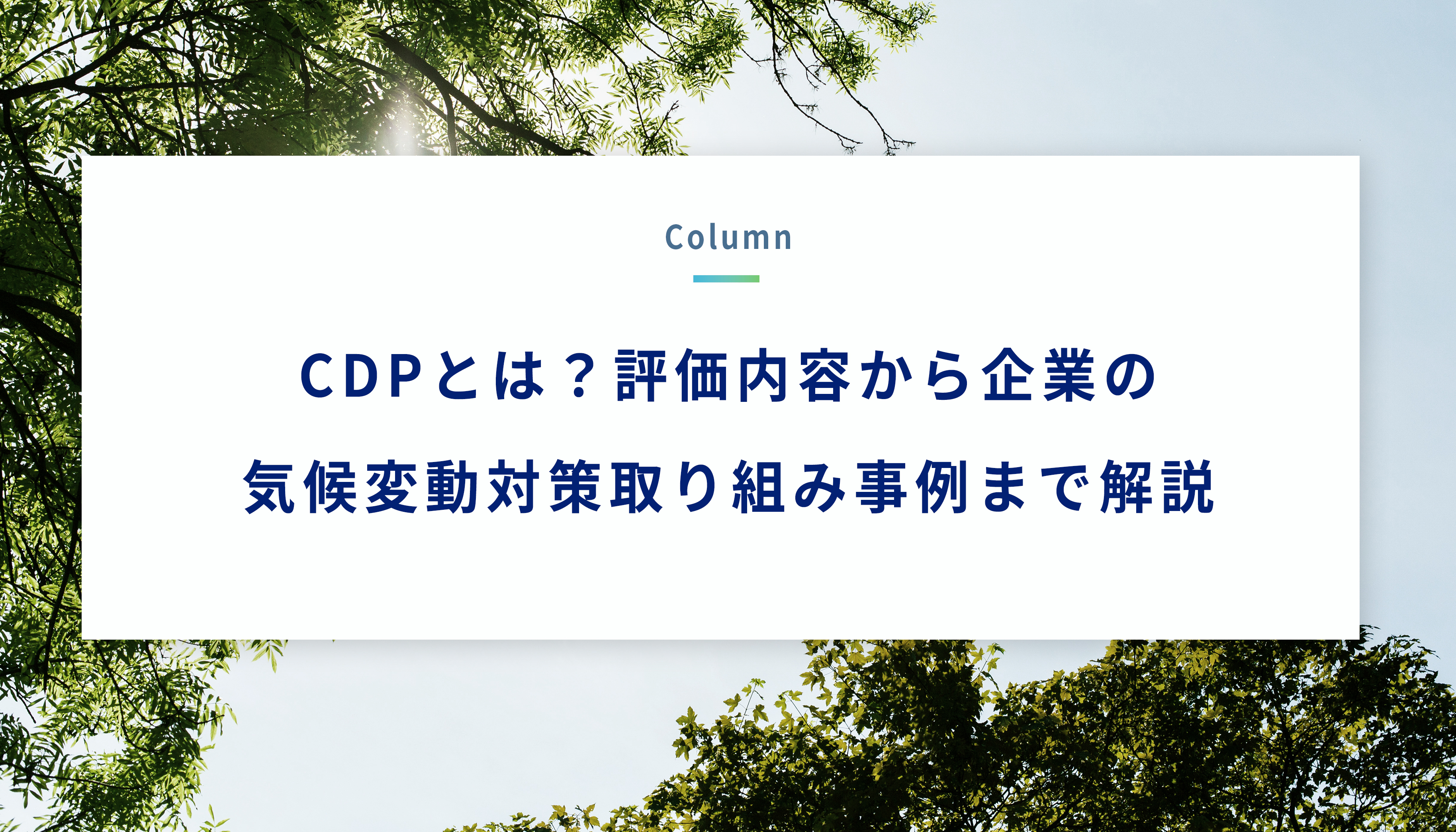 再生可能エネルギー発電促進賦課金とは