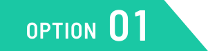 OPTION 01