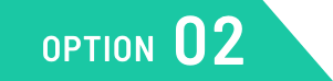 OPTION 02